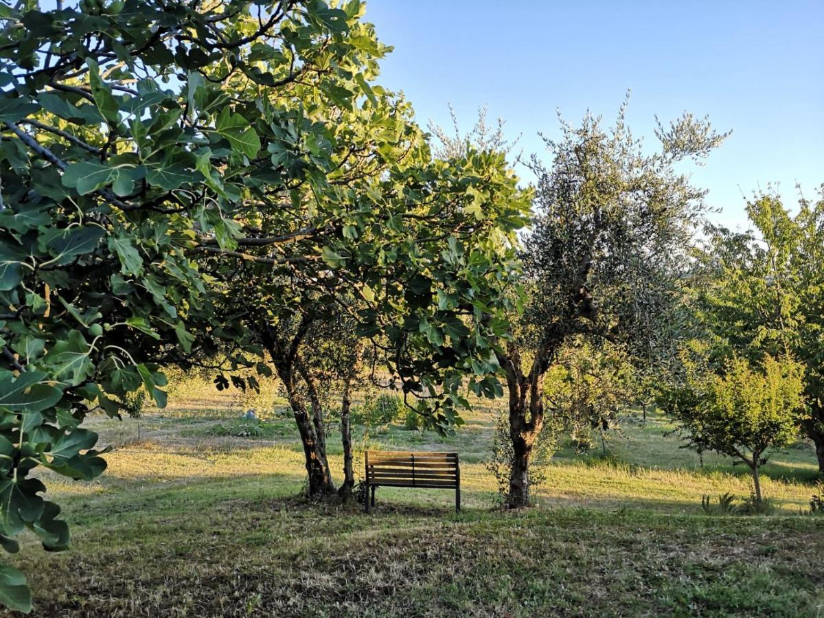 Agriturismo I Ciliegi Appartamento Ginestra Montignano Ngoại thất bức ảnh