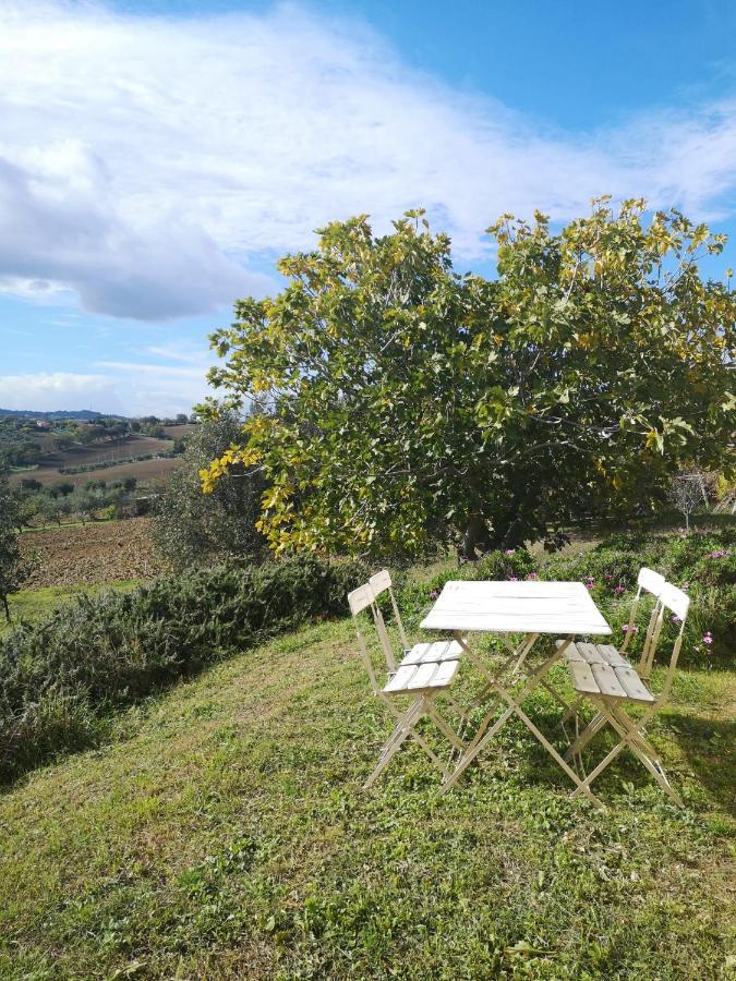 Agriturismo I Ciliegi Appartamento Ginestra Montignano Ngoại thất bức ảnh